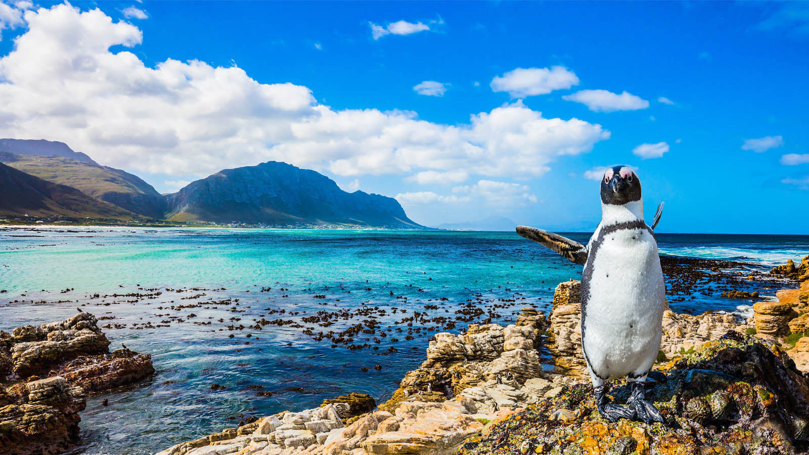 Sprachaufenthalt Südafrika ESL