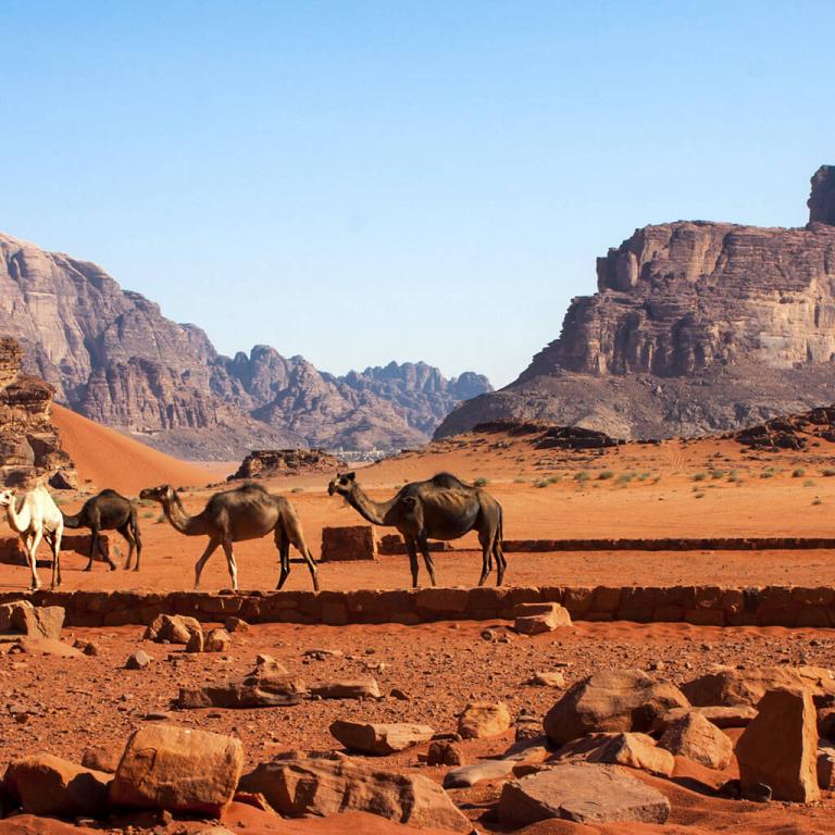 ESL Jordan language stay