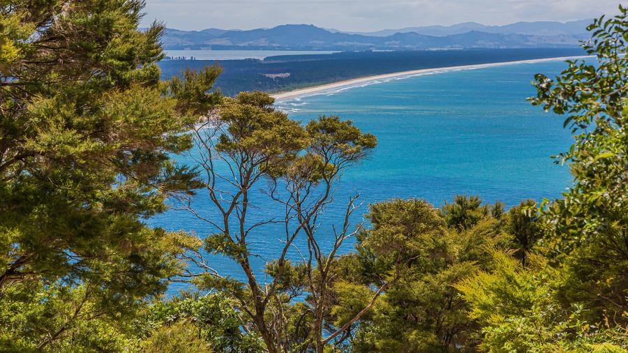 ESL Mount Maunganui language stay 2