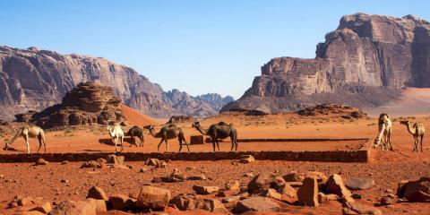 ESL Jordan language stay